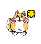 まるっこい柴犬（個別スタンプ：11）