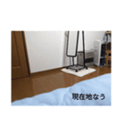 おおぬまやみ（個別スタンプ：12）