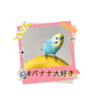 セキセイインコスタンプ！（個別スタンプ：15）