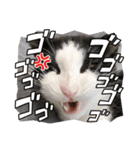 RIRIRON③（個別スタンプ：5）