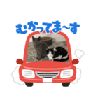 RIRIRON③（個別スタンプ：6）