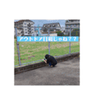 色々な髪型の汎用性の高いFランちゃん。（個別スタンプ：19）