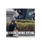 色々な髪型の汎用性の高いFランちゃん。（個別スタンプ：20）