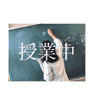 色々な髪型の汎用性の高いFランちゃん。（個別スタンプ：24）