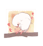 文鳥むぎと仲間たち（個別スタンプ：12）