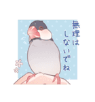 文鳥むぎと仲間たち（個別スタンプ：27）