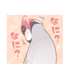 文鳥むぎと仲間たち（個別スタンプ：30）