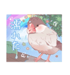 文鳥むぎと仲間たち（個別スタンプ：35）