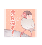 文鳥むぎと仲間たち（個別スタンプ：39）