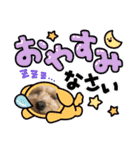 マルプー茶々丸5（個別スタンプ：5）