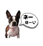 気付けば覚えちゃってる楽チン韓国語④（個別スタンプ：3）