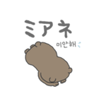 つかえる韓国語（個別スタンプ：3）