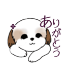 Stickers_Shih Tzu_i シーズースタンプ（個別スタンプ：13）
