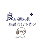 Stickers_Shih Tzu_i シーズースタンプ（個別スタンプ：36）