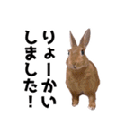 おてんば娘のハピたんスタンプ（個別スタンプ：30）