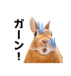 おてんば娘のハピたんスタンプ（個別スタンプ：35）