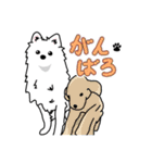 ポメラニアンのたづな＆子猫のそら（個別スタンプ：30）