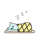 まめねこ☆（個別スタンプ：8）