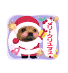 ヨークシャテリアKoharu のスタンプver 3！（個別スタンプ：7）