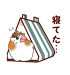 使える小鳥ちゃんスタンプ修正版（個別スタンプ：14）