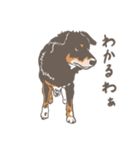 マーヤの保護犬応援スタンプ【修正版】（個別スタンプ：35）