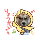 秋田犬ふふ村のぼやき（個別スタンプ：13）