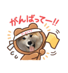 秋田犬ふふ村のぼやき（個別スタンプ：34）