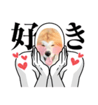 秋田犬ふふ村のぼやき（個別スタンプ：40）