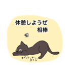 にゃんたって君が大事❣️相棒へのスタンプ（個別スタンプ：8）