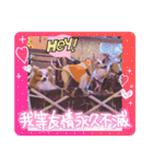 ぱぴぱぴパピヨン90（個別スタンプ：11）