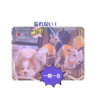 ぱぴぱぴパピヨン90（個別スタンプ：12）