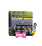ぱぴぱぴパピヨン90（個別スタンプ：21）