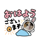 クロエちゃんのスタンプ（個別スタンプ：5）