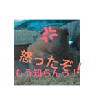 かわいいみかんくんのスタンプ2（個別スタンプ：2）