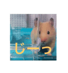 かわいいみかんくんのスタンプ2（個別スタンプ：3）