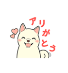 柴犬 さくらとふぶき（改訂版）（個別スタンプ：8）