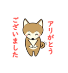 柴犬 さくらとふぶき（改訂版）（個別スタンプ：10）