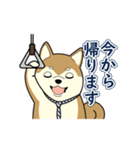 柴犬 さくらとふぶき（改訂版）（個別スタンプ：21）