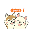 柴犬 さくらとふぶき（改訂版）（個別スタンプ：24）