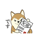 柴犬 さくらとふぶき（改訂版）（個別スタンプ：25）