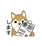 柴犬 さくらとふぶき（改訂版）（個別スタンプ：26）