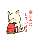 柴犬 さくらとふぶき（改訂版）（個別スタンプ：27）