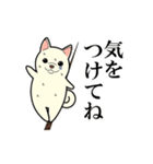 柴犬 さくらとふぶき（改訂版）（個別スタンプ：28）