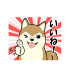 柴犬 さくらとふぶき（改訂版）（個別スタンプ：32）