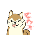 柴犬 さくらとふぶき（改訂版）（個別スタンプ：37）