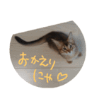 ちゃいろぅず。…くぅ＆もか（個別スタンプ：1）