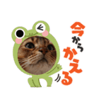 ちゃいろぅず。…くぅ＆もか（個別スタンプ：4）