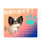 くぅちゃまキュートスタンプ（個別スタンプ：5）