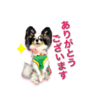 くぅちゃまキュートスタンプ（個別スタンプ：11）
