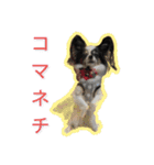 くぅちゃまキュートスタンプ（個別スタンプ：15）